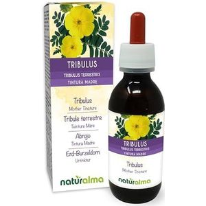 Tribulus (Tribulus terrestris) vruchten Alcoholvrije moedertinctuur Naturalma - Vloeibaar extract druppels 120 ml - Voedingssupplement - Veganistisch