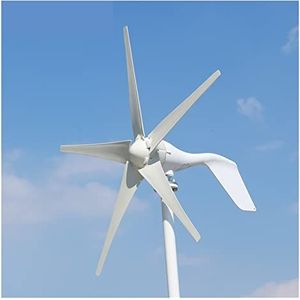 Windturbines, 80 0W 12V 24V Wind Turbine Generator Lage windsnelheid Start Low Noise Wind Generator Easy Installatie Windgenerator Oversized Blade MPPT Controle(600w 5 Blades,MPPT Controller,24V)