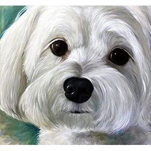 Dieren Maltezer Hond Schattige Huisdieren 500 Stuks Puzzel Home Decor Fotopuzzels Milieuvriendelijke Decoratie Puzzel Moeilijk Stress Verlagen Puzzel