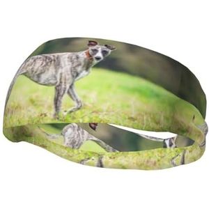 Whippet honden gazon honden grijze honden huisdieren, sport zweetband voor unisex meerdere hoofdbanden zweet workout hoofdbanden rekbare haarband