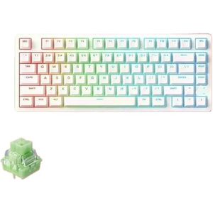 QPSJXN McHose Jet75 mechanisch toetsenbord, bekabeld, met magnetische schakelaars, 8 K, hot swap, lage latentie, RGB-gaming-accessoires, personaliseerbaar, verschillende systemen (Starlight Switch)