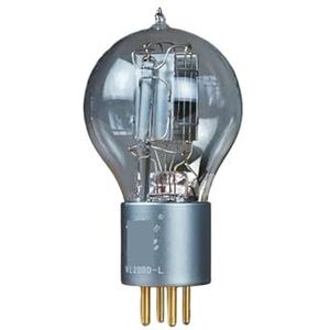 WE205D-L WE205D Vacuümbuis Audio-versterker (1 PCS)