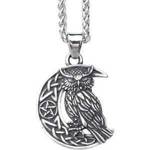 Viking Keltische Knoop Maan Uil Hanger Ketting Voor Mannen Vrouwen - Noordse RVS Ierse Knoop Amulet - Handgemaakte Vintage Pentagram Uil Dierensieraden