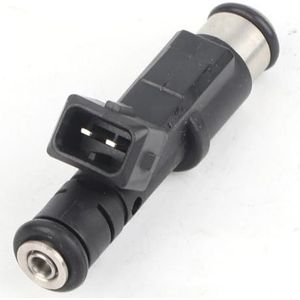 Brandstofinjector Benzine-injectiesproeiers Voor 206 Voor 307 Voor 406 Voor 407 Voor 607 Voor 806 Voor 807 Voor Expert 2.0 01F003A Brandstofverstuiver