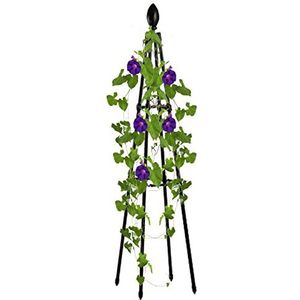 Zoete Erwt Frame, Trellis Voor Potplanten Zoete Erwt Trellis Erwt Ondersteuning Frame Metalen Outdoor Tuin Rotan Trellis Voor Planten/Bloemen Clematis Rose Plant Balkon Klimmen Beugel Tuin Accessoires