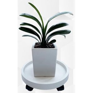 Zerodis Bloempotbak met wielen wit - ronde roterende plantenstandaard voor balkon - handige mobiliteit, wateropvangbak - kunststof materiaal (30)