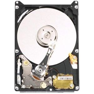 Western Digital WD800BEVS Scorpio Blue 80GB interne harde schijf (6,4 cm (2,5 inch), 5400RPM, 8MB cache, S-ATA)