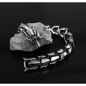 Zodiac Dubbelkoppige Snake Armband Mannen Roestvrij Staal Ring Gesp Armband Punk Motorfiets Party Sieraden Accessoires