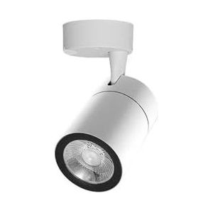 Schijnwerpers voor meerdere gelegenheden LED-spotlampen 20W 30W For Keuken LED-spots Plafondlampen Verlichtingslicht For Gang Slaapkamer Zolder Hoge helderheid & breed verlichtingsbereik (Color : Whi