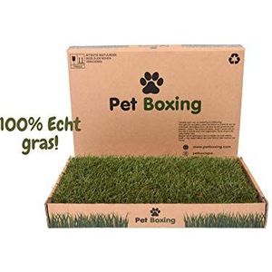 PetBoxing Dieren Toilet - Puppy Training Pad - Zindelijkheidstraining - Biologisch - 60 x 40 cm