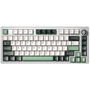 QPSJXN HI75 RGB mechanisch gamingtoetsenbord met achtergrondverlichting en een swappable afdichtingsstructuur op metalen basis. (Misty Green-Cherry)