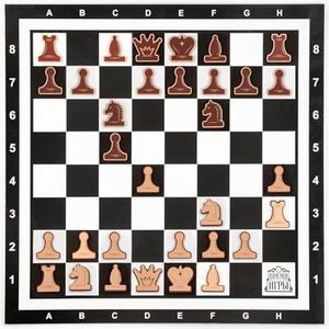 Magnetische schaakset voor demonstratie - educatief schaakspel - 24"" magnetisch schaakbordspel voor schaakspel