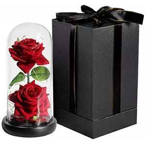 Rozenbloemen in Glas, Geconserveerde Bloem LED-licht Kleurvast Prachtige Romantische Elegante Geconserveerde Rode Roos met Geschenkdoos voor Moeder Oma Verjaardag Uniek Cadeau(Roos met zwarte doos)