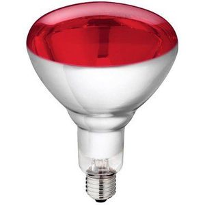 Kerbl lamp van gehard glas Philips 150W 240V, rood