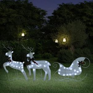 Rendier & Slee Kerstdecoratie 60 LEDs Outdoor Wit