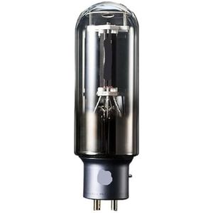 HIFI audio 845 A845 buis vervangt WE845 E-845 845-TII 845-T 845-DG buis versterker kit DIY matching (2 stuks Matched Pair)