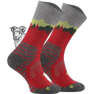 Todo BP Wandelsokken, merinowol, voor heren, dames, kinderen, trekkingsokken, ademend, antiblaren, geproduceerd in de EU, 35-38 EU