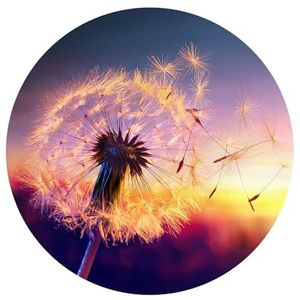 DEQORI Rond wandbehang, zelfklevend, diameter 100 cm, motief paardenbloem in avondlicht, textiel-canvas, verwijderbaar, decoratief en vormvast, voor woonkamer, kantoor, hal of kinderkamer