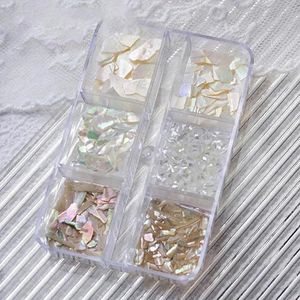 Nail Art Aurora Schelpvlokken Abalone Nagels Bedels 3D Onregelmatige Plak Schelp Steen Pailletten Nail Art Decoratie Manicure Accessoire-ZB053-5