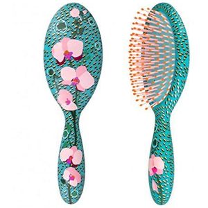 Pylones GM Ladypop Orchid Blue Haarborstel