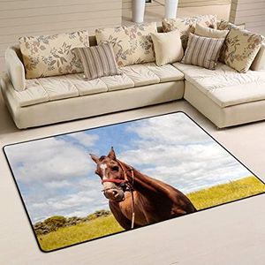 Gebied tapijten 100 x 150 cm, paard op grasveld woonkamer tapijt antislip kantoormatten groot flanel mat tapijt, voor slaapkamer, binnen en buiten