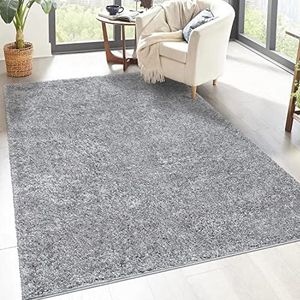 carpet city Shaggy hoogpolig tapijt, 200 x 290 cm, grijs, langpolig woonkamertapijt, effen modern, pluizig zacht tapijt voor slaapkamer, decoratie