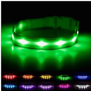 Blazin Veiligheid LED Hond Kraag - USB Oplaadbaar Met Waterbestendig Knipperend Licht, X-Small, Groen