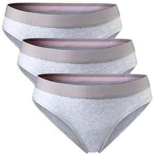 DANISH ENDURANCE Slips van Biologisch Katoen, Stikselvrij, Elastische Tailleband, voor Dames, Set van 3, Grijs, S