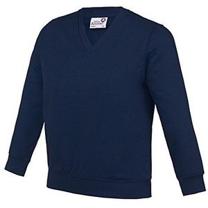 AWDis Academie Kinderen/Kinderen Junior V-hals School Jumper/Sweatshirt