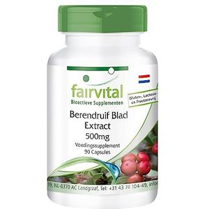 Fairvital | Berendruif blad extract 500mg - HOOG GEDOSEERD - VEGAN - 90 capsules - gestandaardiseerd op 20% arbutine