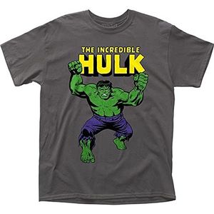 Hulk with Fists & Logo Charcoal T Shirt Medium T-shirts & overhemden(X-Large)