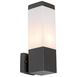 QAZQA - Moderne buiten wandlamp donkergrijs met opaal - Malios | Buitenverlichting - Roestvrij staal (RVS) Rechthoekig - E27 Geschikt voor LED - Max. 1 x 15 Watt