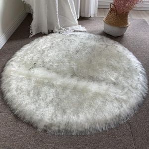 DUDUQZC Ronde pluizige grijze vloerkleden voor slaapkamer woonkamer kinderkamer, onderkant antislip wasbaar tapijt, moderne Shaggy Premium grote deken (Color : E, Size : 180 * 180CM)