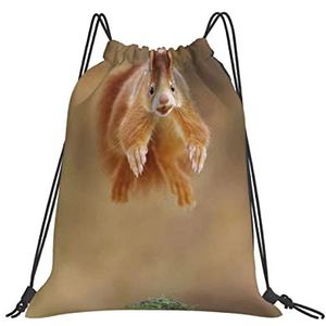351 Gymtas met trekkoord, 42 x 36 cm, Euraziatische rode eekhoorn lichte rugzak grote sporttas met trekkoord, sporttas, voor kinderen, sport, dames, Tas met trekkoord 169, 36x42cm