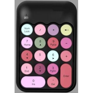 QPSJXN Compact draadloos numeriek toetsenbord voor laptop en computer -Retro -Style 2.4G draadloos extern toetsenbord (Black Color)