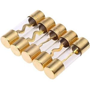 SYSCZPWC 5 Stks Verguld Glas AGU Zekeringen Pack Auto Audio Versterker Versterker 60/80/100 AMP (100 Amp)