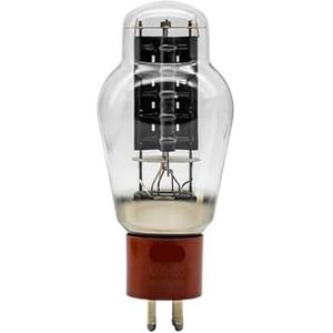 300B-98 verkoolde plaat vacuüm buisklep vervangt 4300B/WE300B (2 PCS MATCHED)