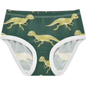 YOUJUNER Meisjesondergoed Leuke Dinosaurus Patroon Peuter Slipje Katoenen Broek Kleine Meisjes Slips Comfort Kids Onderbroek, Meerkleurig, 3 jaar