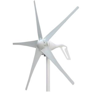Windturbinegenerator, 400W Windgenerator 3/5 Blades 12V 24V for Thuisgebruik Monitoring En Stad Lamp Geluidsarm windturbine voor Terras, Marine, Camper, Chalet, Boot (Color : White, Size : 5 BLADES_