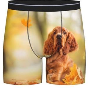 GRatka Boxer slips, heren onderbroek boxer shorts been boxer slips grappig nieuwigheid ondergoed, cocker-spaniël herfst park bruine spaniël honden, zoals afgebeeld, XXL