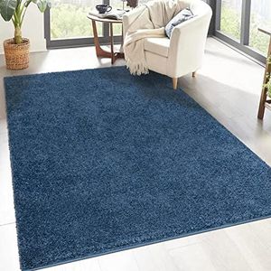 carpet city Shaggy hoogpolig tapijt, rechthoekig, rond, hoogpolig woonkamertapijt, effen modern, pluizig zacht tapijt voor slaapkamer en als decoratie, 200 x 200 cm