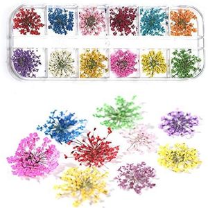 Droogbloemen nail art, echte bloemen voor nagels, 3D nagelstickers met natuurlijke droogbloemen, 12 kleuren, 36 stuks