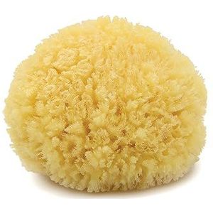 Neptune Natuurlijke Caribische Zeespons - Volledig Natuurlijke Hernieuwbare Zeespons (5"")
