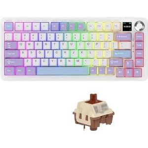 QPSJXN Draadloos Bluetooth Mechanisch Toetsenbord met Drie Modi 75 Aanpasbaar Gezamenlijk Gaming Toetsenbord met Zijgesneden Zijdelings Ontwerp (Wuchuanhai)