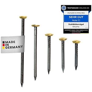 RIKAMA® Stalen spijkers voor gebruik op beton, baksteen, pleisterwerk en hout, nagels van gehard staal als ophanging, Made in Germany (goud met houder, mix van 100 stuks)