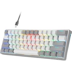 QPSJXN F3261 Mechanisch gamingtoetsenbord, 60 procent RGB, hotswap macro-toetsenbord met tablet, aanpasbare software (grijs-wit)