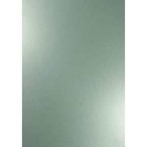 Netuno 10x parelmoer zilver knutselpapier DIN A4 21x29,7cm 120g Majestic Moonlight Silver fijn papier metallic glanzend parelmoer papier voor bruiloft verjaardag doop kerst uitnodigingen