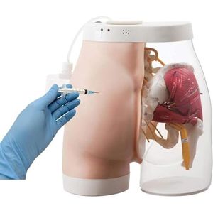 Oefenmodel - Halftransparante Oefensimulator voor Injecties in de Billen - Trainingsmodel met Elektronisch Alarmgeluid
