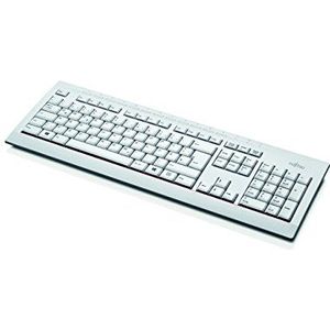 Fujitsu KB521 toetsenbord USB Roemeens Grijs