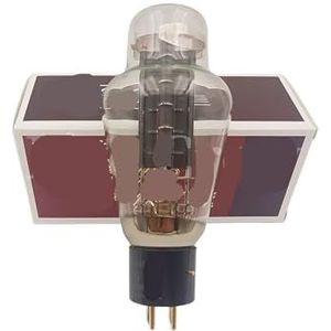 300B+ 300B Plus buis vervangt WE300B 300BN 300BT HIFI audio buis versterker ondersteunt vier kanalen (zwart, 1 stuks)